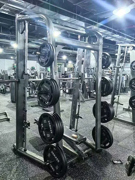 Commercial Gym