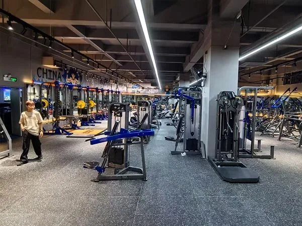 Commercial Gym