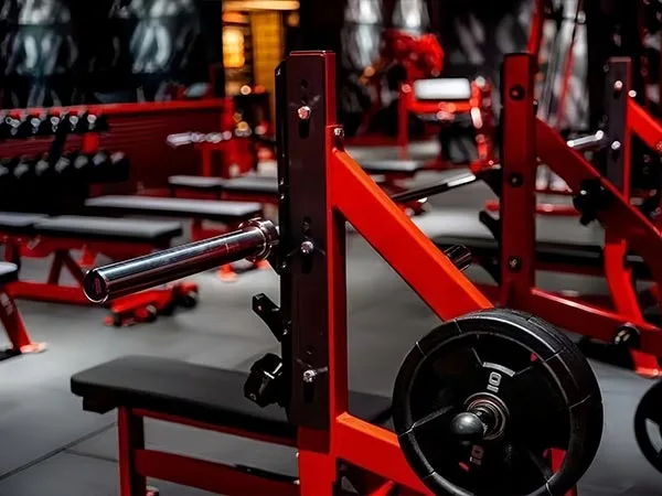 Commercial Gym